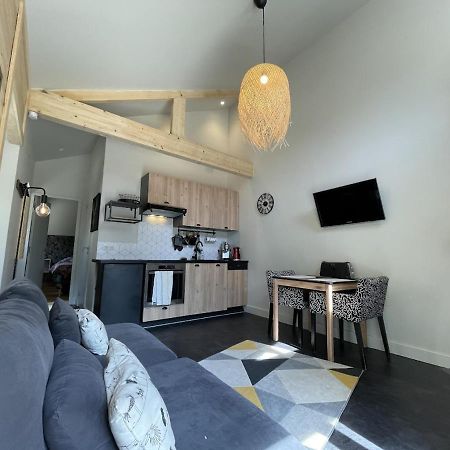 Ginkobiloba : Appartement Cosy En Coeur De Ville Bagnères-de-Bigorre Exteriör bild